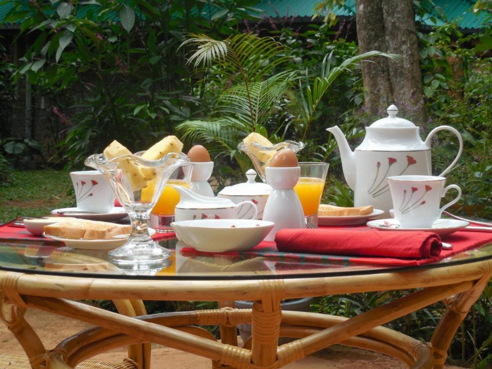 Le leopard d 'argent Image 28